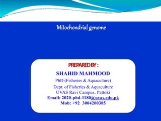 Mitochondrial genome
PREPAREDBY:
SHAHID MAHMOOD
PhD (Fisheries & Aquaculture)
Dept. of Fisheries & Aquaculture
UVAS Ravi Campus, Pattoki
Email: 2020-phd-1180@uvas.edu.pk
Mob: +92 3004200385
 