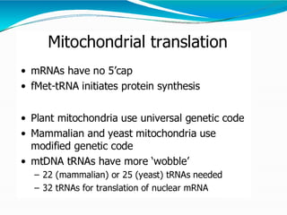 Mitochondrial genome