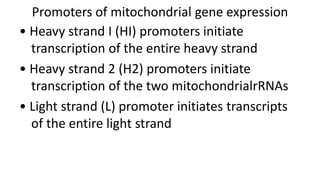 mitochondrial genome.pptx