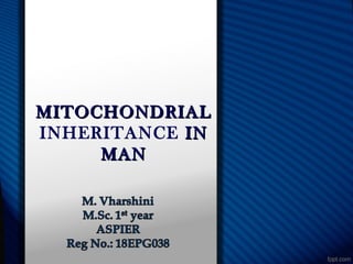 MITOCHONDRIALMITOCHONDRIAL
INHERITANCE ININ
MANMAN
 