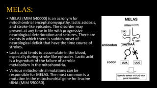 MELAS:
• MELAS (MIM 540000) is an acronym for
mitochondrial encephalomyopathy, lactic acidosis,
and stroke-like episodes. The disorder may
present at any time in life with progressive
neurological deterioration and seizures. There are
events in which there is sudden onset of
neurological deficit that have the time course of
strokes.
• Lactic acid tends to accumulate in the blood,
especially during stroke-like episodes. Lactic acid
is a byproduct of the failure of aerobic
metabolism in the mitochondria.
• Various mitochondrial mutations can be
responsible for MELAS. The most common is a
mutation in the mitochondrial gene for leucine
tRNA (MIM 590050).
 
