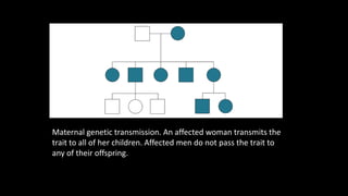 Maternal genetic transmission. An affected woman transmits the
trait to all of her children. Affected men do not pass the trait to
any of their offspring.
 