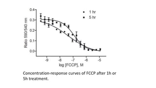 Concentration-response curves of FCCP after 1h or
5h treatment.
 