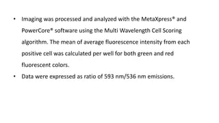 • Imaging was processed and analyzed with the MetaXpress® and
PowerCore® software using the Multi Wavelength Cell Scoring
algorithm. The mean of average fluorescence intensity from each
positive cell was calculated per well for both green and red
fluorescent colors.
• Data were expressed as ratio of 593 nm/536 nm emissions.
 