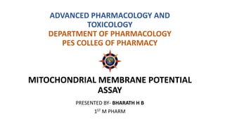 ADVANCED PHARMACOLOGY AND
TOXICOLOGY
DEPARTMENT OF PHARMACOLOGY
PES COLLEG OF PHARMACY
MITOCHONDRIAL MEMBRANE POTENTIAL
ASSAY
PRESENTED BY- BHARATH H B
1ST M PHARM
 