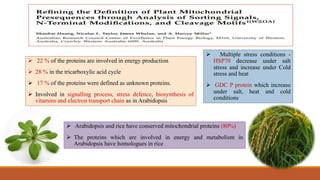 Study on arabidopsis
 22 % of the proteins are involved in energy production
 28 % in the tricarboxylic acid cycle
 17 % of the proteins were defined as unknown proteins.
 Involved in signalling process, stress defence, biosynthesis of
vitamins and electron transport chain as in Arabidopsis
 Arabidopsis and rice have conserved mitochondrial proteins (80%)
 The proteins which are involved in energy and metabolism in
Arabidopsis have homologues in rice
 Multiple stress conditions -
HSP70 decrease under salt
stress and increase under Cold
stress and heat
 GDC P protein which increase
under salt, heat and cold
conditions
 