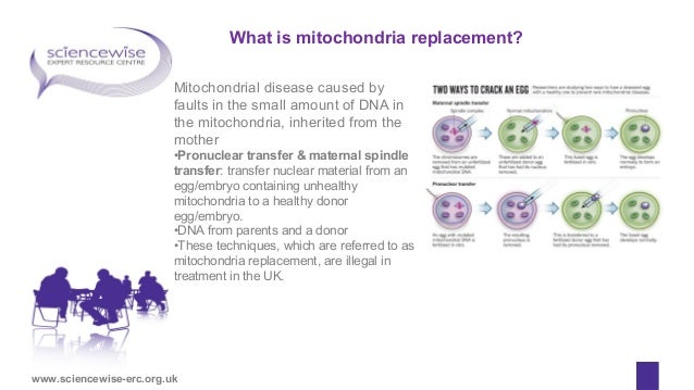 Science case studies examples image