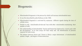 Mitochondria ( power house of cell) | PPTX