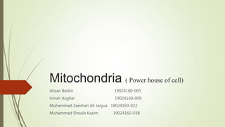 Mitochondria ( Power house of cell)
Ahsan Bashir 19024160-005
Umair Asghar 19024160-009
Muhammad Zeeshan Ali Janjua 19024160-022
Muhammad Shoaib Kazim 19024160-038
 