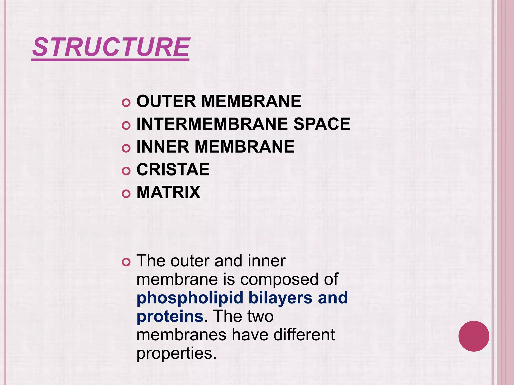 STRUCTURE
 OUTER MEMBRANE
 INTERMEMBRANE SPACE
 INNER MEMBRANE
 CRISTAE
 MATRIX
 The outer and inner
membrane is composed of
phospholipid bilayers and
proteins. The two
membranes have different
properties.
 