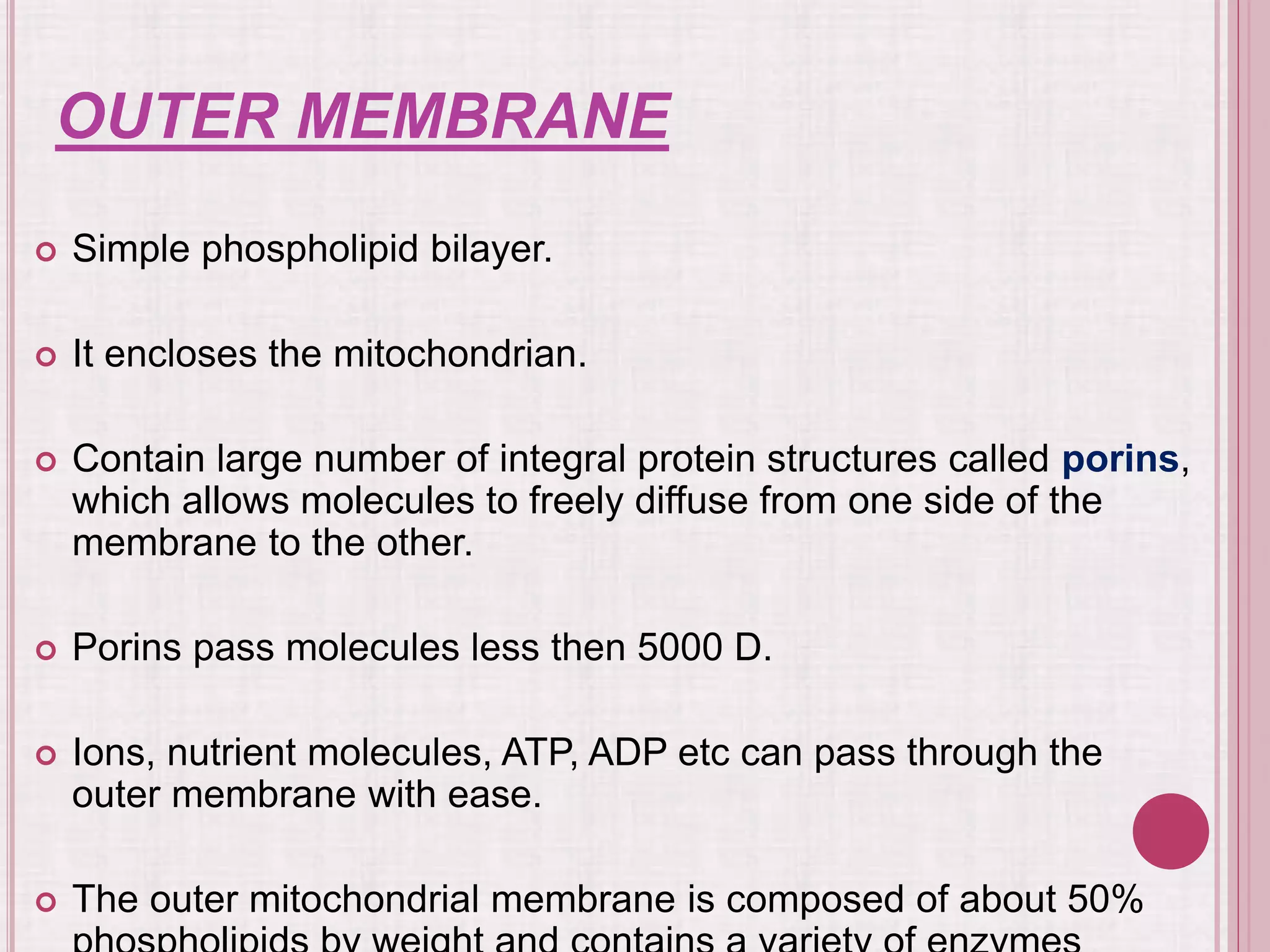 OUTER MEMBRANE
 Simple phospholipid bilayer.
 It encloses the mitochondrian.
 Contain large number of integral protein structures called porins,
which allows molecules to freely diffuse from one side of the
membrane to the other.
 Porins pass molecules less then 5000 D.
 Ions, nutrient molecules, ATP, ADP etc can pass through the
outer membrane with ease.
 The outer mitochondrial membrane is composed of about 50%
 