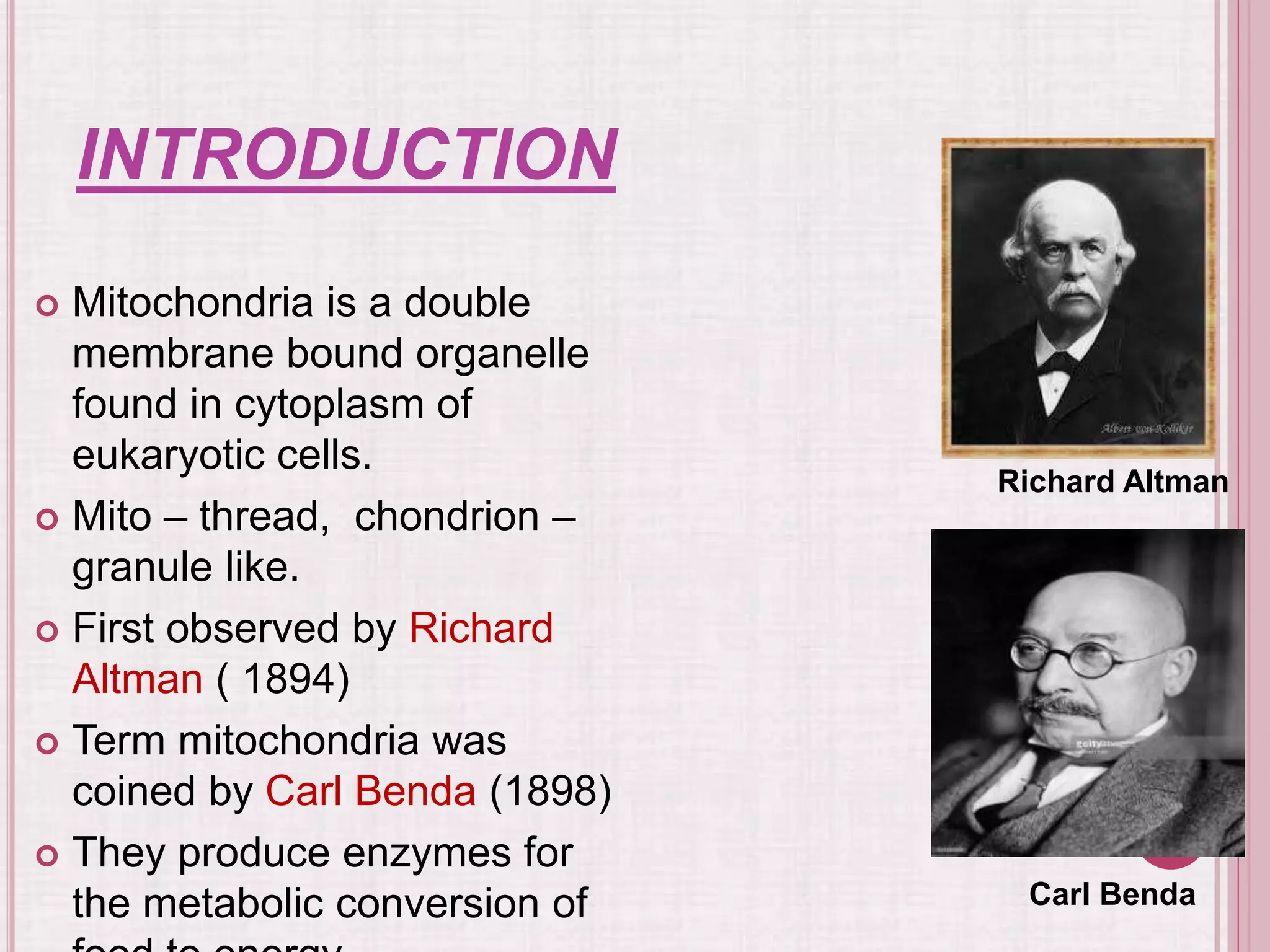 INTRODUCTION
 Mitochondria is a double
membrane bound organelle
found in cytoplasm of
eukaryotic cells.
 Mito – thread, chondrion –
granule like.
 First observed by Richard
Altman ( 1894)
 Term mitochondria was
coined by Carl Benda (1898)
 They produce enzymes for
the metabolic conversion of
Richard Altman
Carl Benda
 