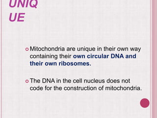 UNIQ
UE
 Mitochondria are unique in their own way
containing their own circular DNA and
their own ribosomes.
 The DNA in the cell nucleus does not
code for the construction of mitochondria.
 