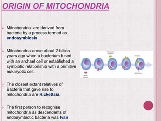 Mitochondrial Structure And Function Ppt