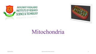 Mitochondria
29/03/2021 Muhammad Adeel Akram 1
 