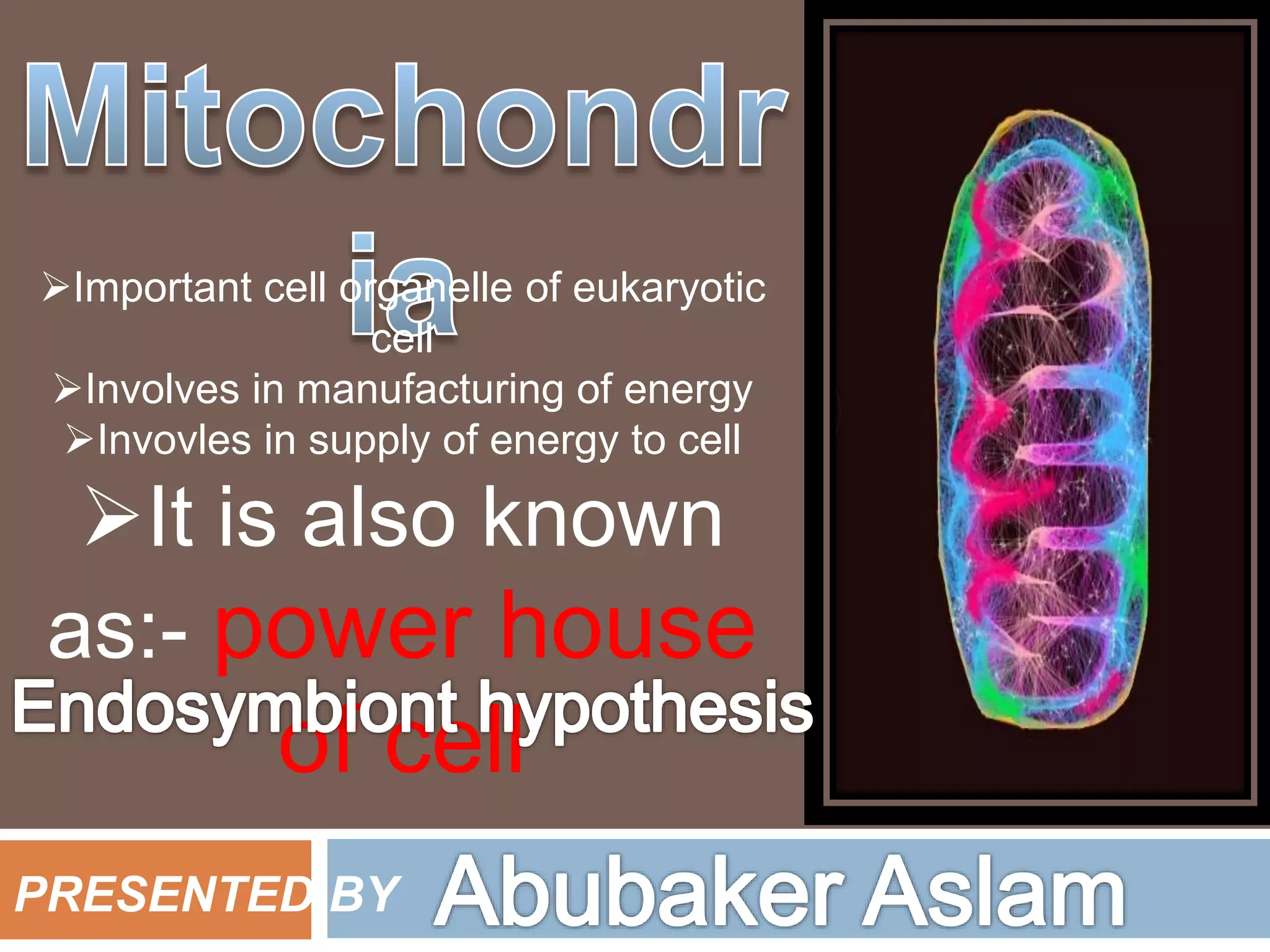 Mitochondria presentation for all kind of zoology and biology students ...