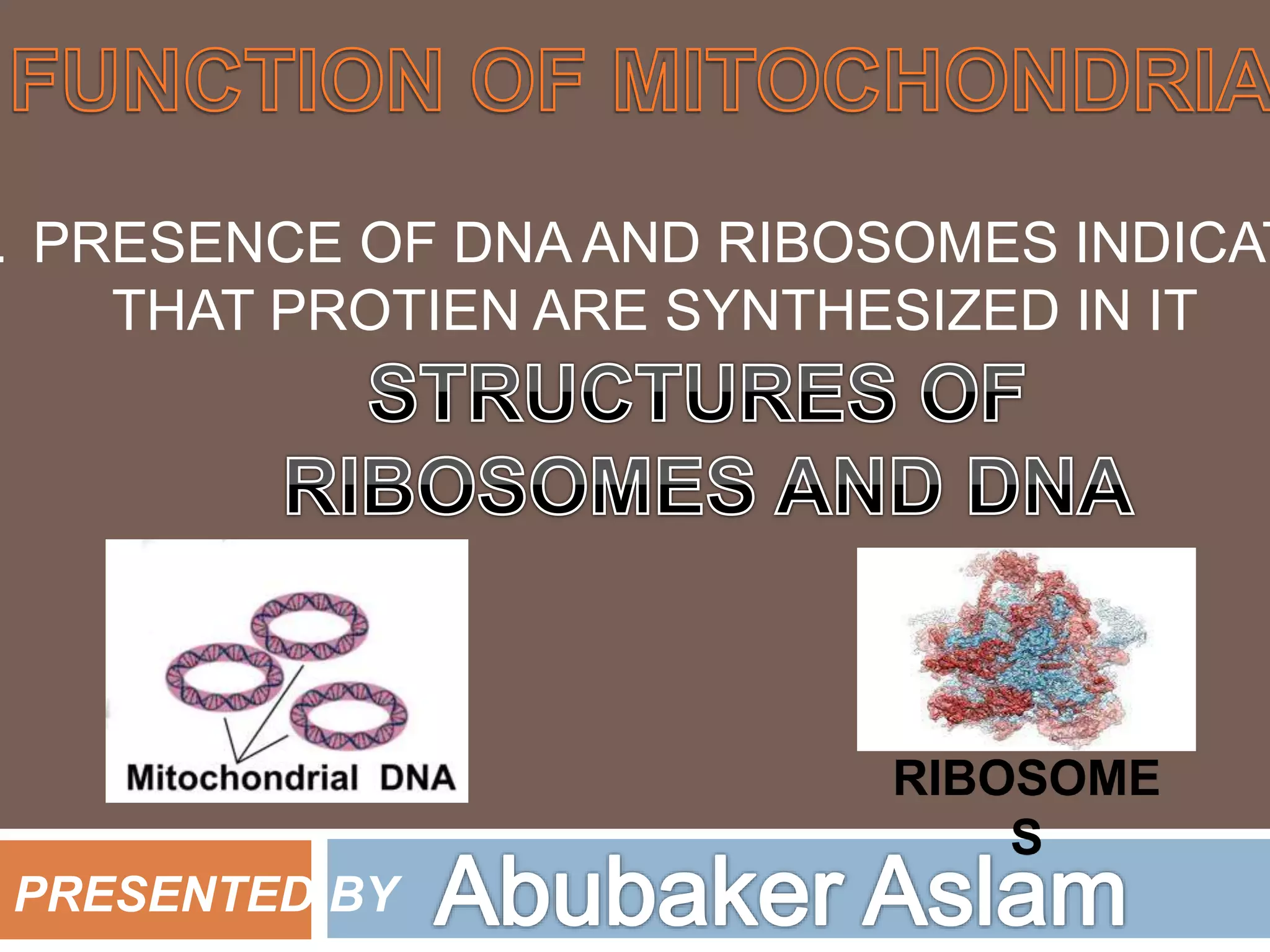 Mitochondria presentation for all kind of zoology and biology students ...