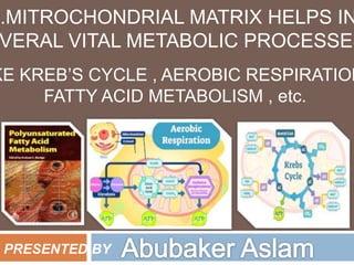 Mitochondria presentation for all kind of zoology and biology students ...