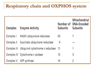 Genetics of Mitochondrial disorders | PPT