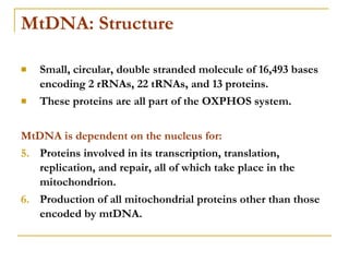 MtDNA: Structure <ul><li>Small, circular, double stranded molecule of 16,493 bases  encoding 2 rRNAs, 22 tRNAs, and 13 pro...