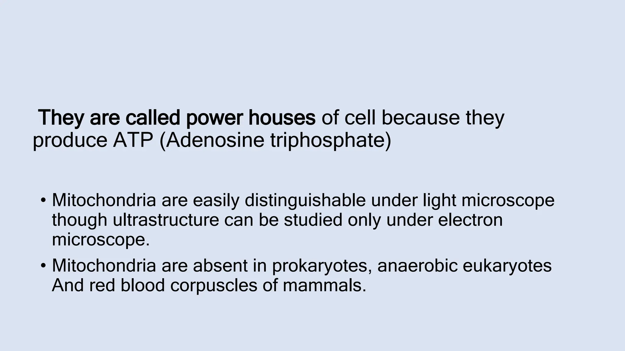 Mitochondria : Powerhouse of the Cell | PPTX