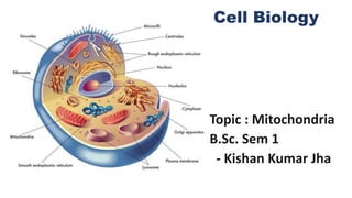 Mitochondria : Powerhouse of the Cell | PPTX