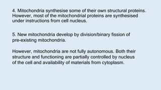 Mitochondria : Powerhouse of the Cell | PPTX