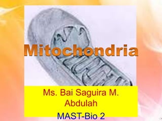 Ms. Bai Saguira M.
Abdulah
MAST-Bio 2
 