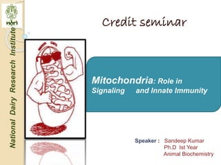 NationalDairyResearchInstitute
Credit seminar
Mitochondria: Role in
Signaling and Innate Immunity
Speaker : Sandeep Kumar
Ph.D Ist Year
Animal Biochemistry
 