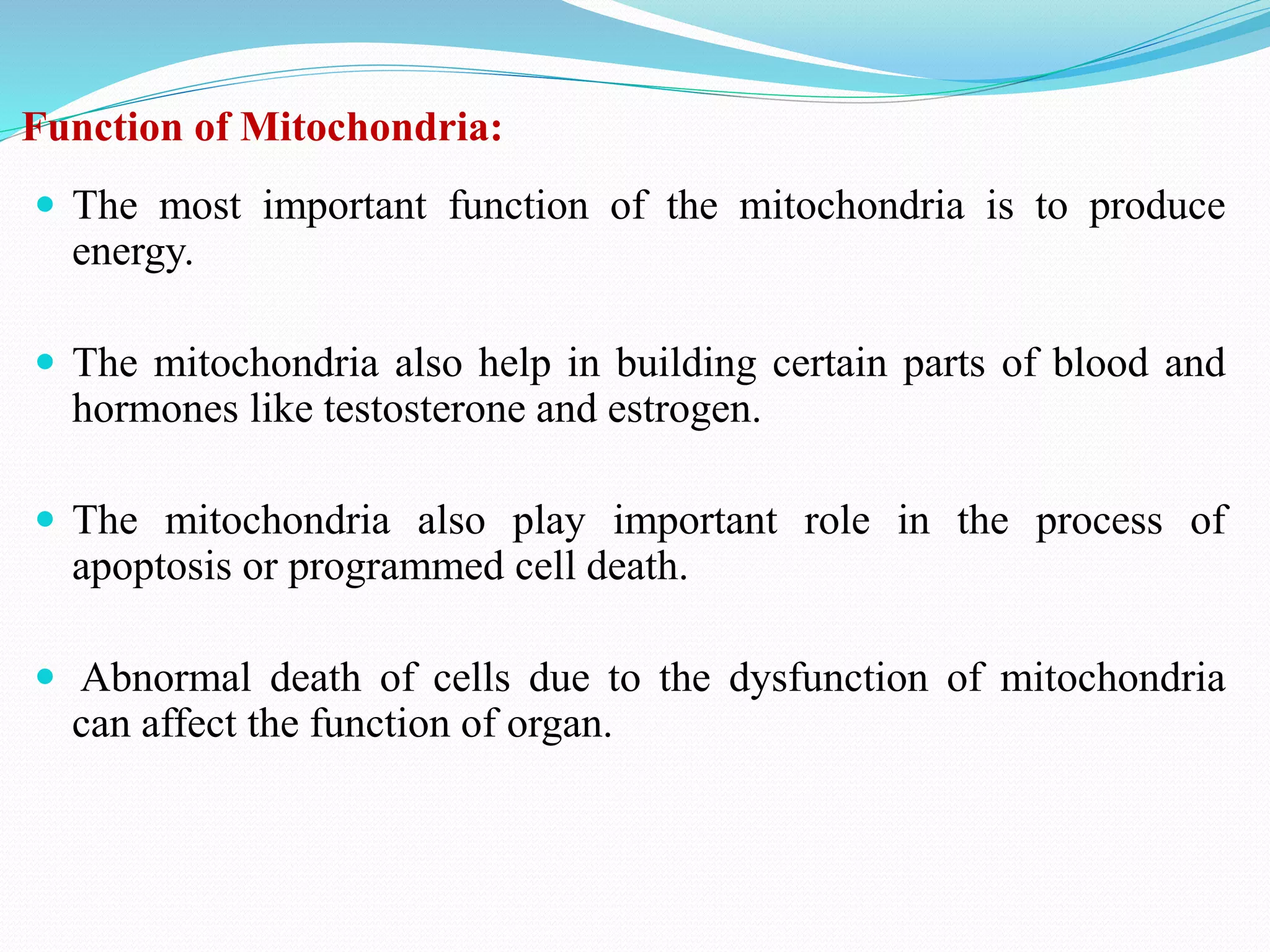 Function of Mitochondria:
 The most important function of the mitochondria is to produce
energy.
 The mitochondria also help in building certain parts of blood and
hormones like testosterone and estrogen.
 The mitochondria also play important role in the process of
apoptosis or programmed cell death.
 Abnormal death of cells due to the dysfunction of mitochondria
can affect the function of organ.
 