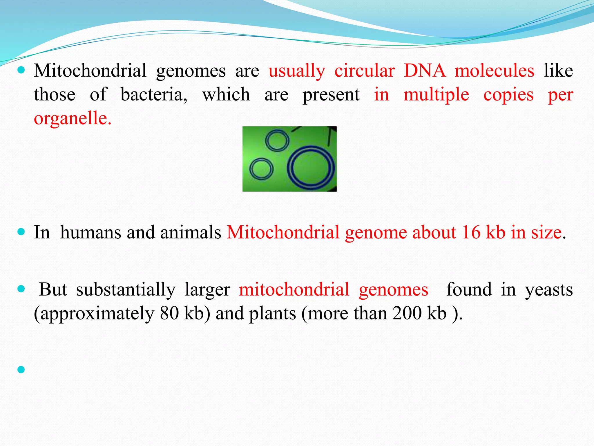  Mitochondrial genomes are usually circular DNA molecules like
those of bacteria, which are present in multiple copies per
organelle.
 In humans and animals Mitochondrial genome about 16 kb in size.
 But substantially larger mitochondrial genomes found in yeasts
(approximately 80 kb) and plants (more than 200 kb ).

 