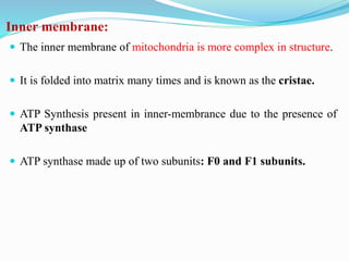 Mitochondria structure | PPTX