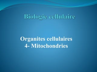 Organites cellulaires
4- Mitochondries
 