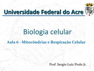 Biologia celular
Universidade Federal do AcreUniversidade Federal do Acre
Aula 6 - Mitocôndrias e Respiração Celular
Prof. Sergio Luiz Prolo Jr.
 
