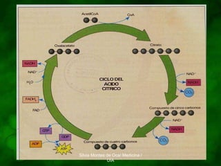 Silvia Montes de Oca/ Medicina / UIA 