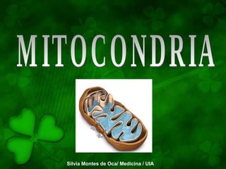 MITOCONDRIA Silvia Montes de Oca/ Medicina / UIA 