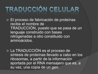 TRADUCCIÓN CELULAREl proceso de fabricación de proteínas recibe el nombre de TRADUCCIÓN, puesto que se pasa de un lenguaje construido con bases nitrogenadas a otro constituido con aminoácidos.La TRADUCCIÓN es el proceso de síntesis de proteínas llevado a cabo en los ribosomas, a partir de la información aportada por el RNA mensajero que es, a su vez, una copia de un gen.