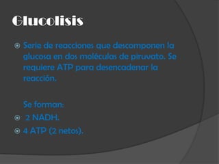 Eliminación de estructuras.