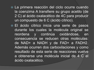 ¿Qué es?Secuencia repetitiva de transformaciones que se efectúan en la matriz mitocondrial, ruta  metabólica de reacciones químicas que forman parte de la respiración en las células aérobicas.Fundamental para la degradación de compuestos orgánicos.2 AcetilCoA + 6NAD + 2 FAD + 2ADP +2 Pi       6NADH+ 6H +2FADH + 2 ATP + 4 CO2