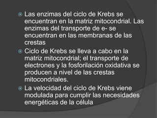 La primera reacción del ciclo ocurre cuando la coenzima A transfiere su grupo acetilo (de 2 C) al ácido oxalacético de 4C para producir un compuesto de 6 C (ácido cítrico). El ácido cítrico inicia una serie de pasos durante los cuales la molécula original se reordena y continúa oxidándose, en consecuencia se reducen otras moléculas: de NAD+ a NADH y de FAD+ a FADH2. Además ocurren dos carboxilaciones y como resultado de esta serie de reacciones vuelve a obtenerse una molécula inicial de 4 C el ácido oxalacético.