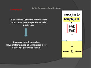 SustratosLa función de los sustratos es lograr que las diferentes moléculas generadoras liberen electrones para llevarse a cabo la cadena respiratoria y para ello requieren de enzimas diferentes para cada uno-Enzimas deshidrogenasasEnzimas dependientesFlavoproteinas FADNAD3 ATP2 ATP