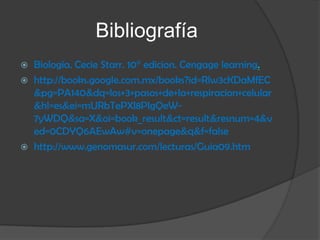 Coenzimas SOLUBLES de enzimas deshidrogenasas