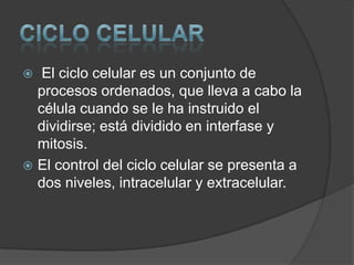 CICLO CELULAREl ciclo celular es un conjunto de procesos ordenados, que lleva a cabo la célula cuando se le ha instruido el dividirse; está dividido en interfase y mitosis.El control del ciclo celular se presenta a dos niveles, intracelular y extracelular.