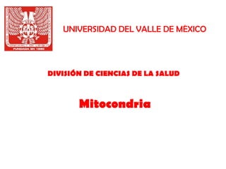 UNIVERSIDAD DEL VALLE DE MÉXICO




DIVISIÓN DE CIENCIAS DE LA SALUD



       Mitocondria
 
