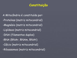 Constituição


A Mitocôndria é constituída por:
-Proteínas (matriz mitocondrial)
-Magnésio (matriz mitocondrial)
-Lipídeos (matriz mitocondrial)
-DNA (filamentos duplos)
-RNA (RNAr, RNAm, RNAt)
-Cálcio (matriz mitocondrial)
-Ribossomos (matriz mitocondrial)
 