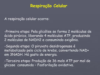 Respiração Celular


A respiração celular ocorre:


-Primeira etapa: Pela glicólise se forma 2 moléculas de
ácido pirúvico, liberando 4 moléculas ATP, produzindo
2 moléculas de NADH2 e consumindo oxigênio.
-Segunda etapa: O piruvato desidrogenase é
metabolizado pelo ciclo de krebs, convertendo NAD+
em 3NADH. Há gasto de energia.
-Terceira etapa: Produção de 36 mols ATP por mol de
glicose consumida – Fosforilação oxidativa.
 