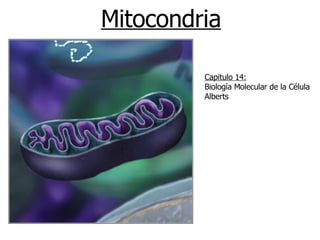 Mitocondria Capitulo 14: Biología Molecular de la Célula Alberts 