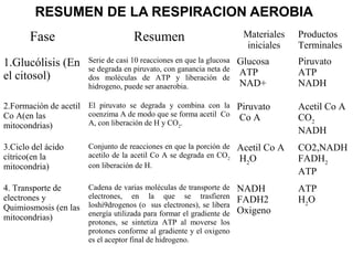 RESUMEN DE LA RESPIRACION AEROBIA
Fase Resumen Materiales
iniciales
Productos
Terminales
1.Glucólisis (En
el citosol)
Serie de casi 10 reacciones en que la glucosa
se degrada en piruvato, con ganancia neta de
dos moléculas de ATP y liberación de
hidrogeno, puede ser anaerobia.
Glucosa
ATP
NAD+
Piruvato
ATP
NADH
2.Formación de acetil
Co A(en las
mitocondrias)
El piruvato se degrada y combina con la
coenzima A de modo que se forma acetil Co
A, con liberación de H y CO2
.
Piruvato
Co A
Acetil Co A
CO2
NADH
3.Ciclo del ácido
cítrico(en la
mitocondria)
Conjunto de reacciones en que la porción de
acetilo de la acetil Co A se degrada en CO2
con liberación de H.
Acetil Co A
H2
O
CO2,NADH
FADH2
ATP
4. Transporte de
electrones y
Quimiosmosis (en las
mitocondrias)
Cadena de varias moléculas de transporte de
electrones, en la que se trasfieren
loshi9drogenos (o sus electrones), se libera
energía utilizada para formar el gradiente de
protones, se sintetiza ATP al moverse los
protones conforme al gradiente y el oxigeno
es el aceptor final de hidrogeno.
NADH
FADH2
Oxigeno
ATP
H2
O
 