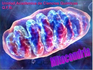 Unidad Académica de Ciencias Químicas Q.F.B. Mitocondria 