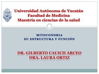Universidad Autónoma de YucatánFacultad de MedicinaMaestría en ciencias de la salud  Mitocondria Su estructura y función Dr. Gilberto cauich arceo dra. Laura ortiz 